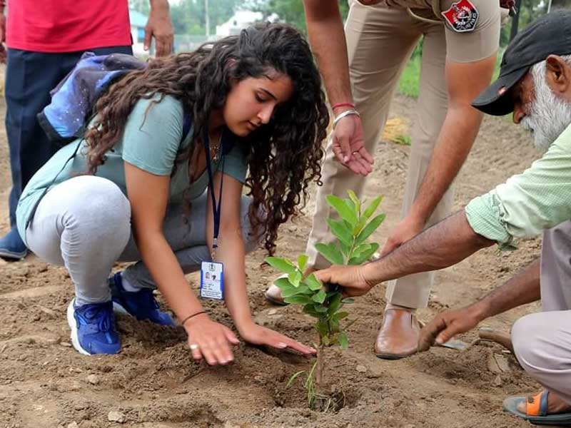 Plantation @ Kailash Farms Earthen Life, Hoshiarpur